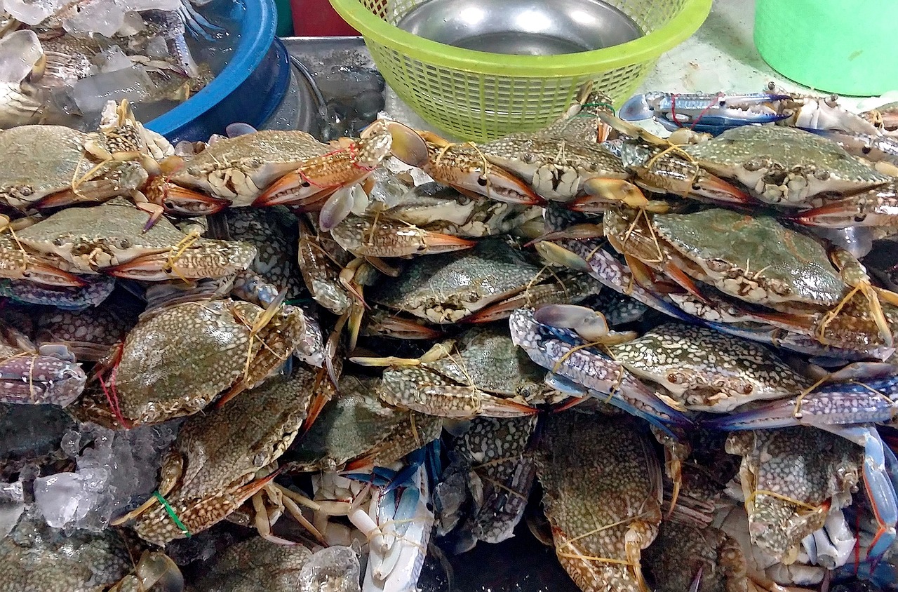 舌尖上的旅行，用卡点视频捕捉美食之旅
