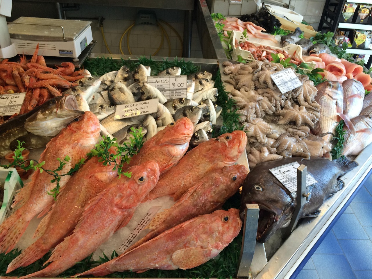 临沂美食推荐，不可错过的早餐店