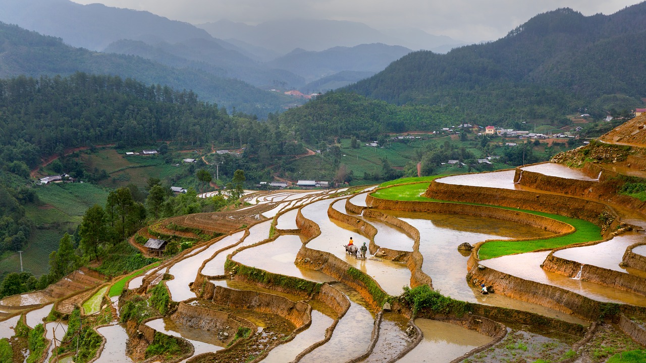 咸阳湖游玩攻略，美景、美食一网打尽